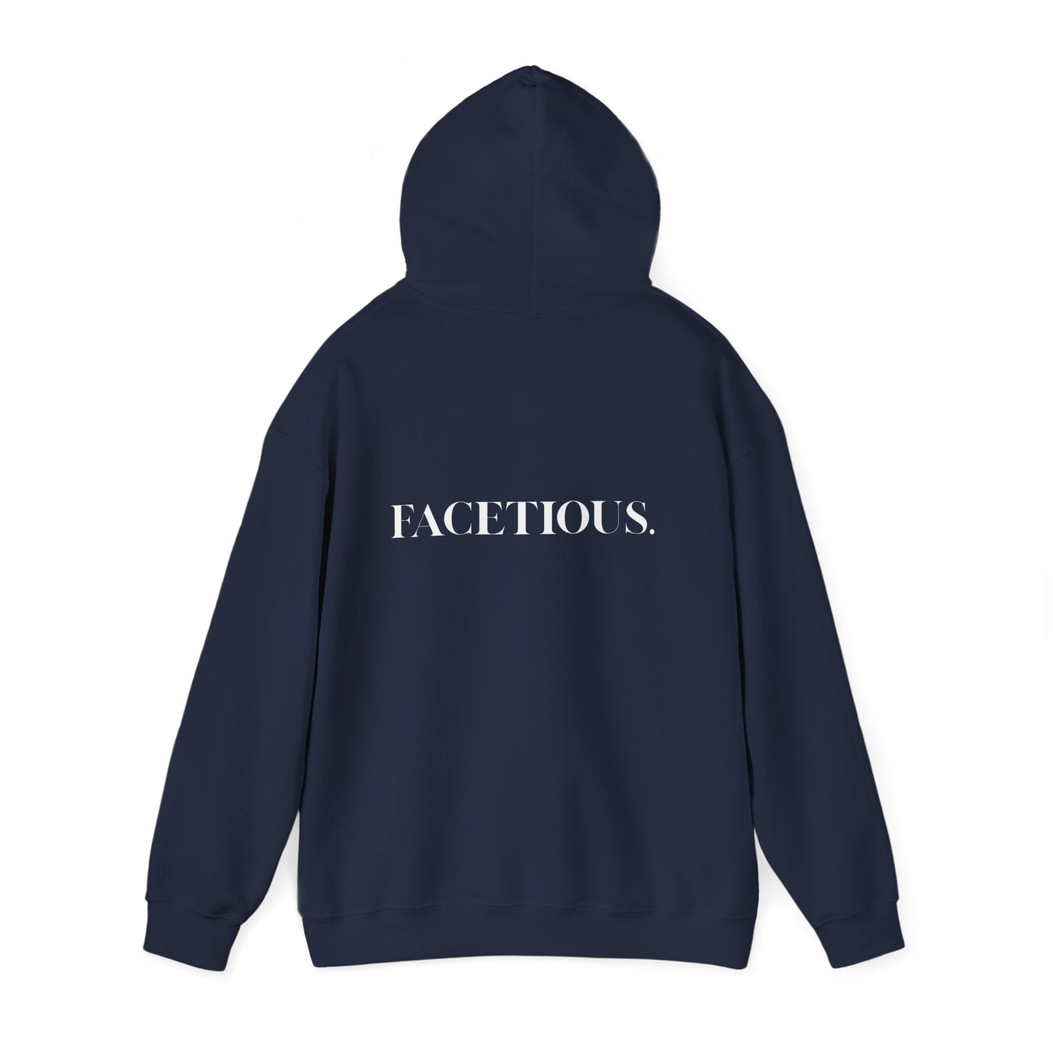 Facetious Hoodie – funny unisex sweatshirt gift for friends