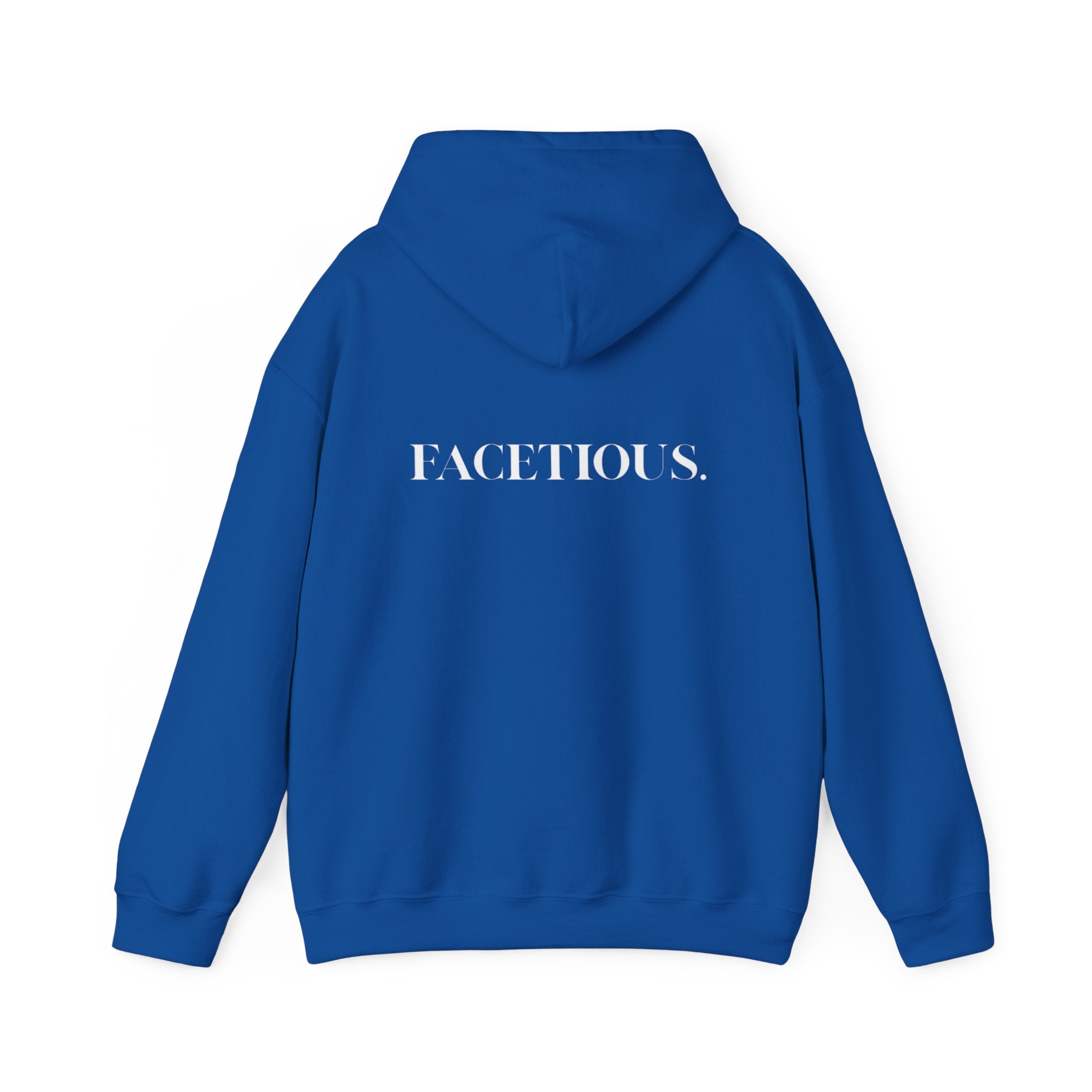 Facetious Hoodie – funny unisex sweatshirt gift for friends