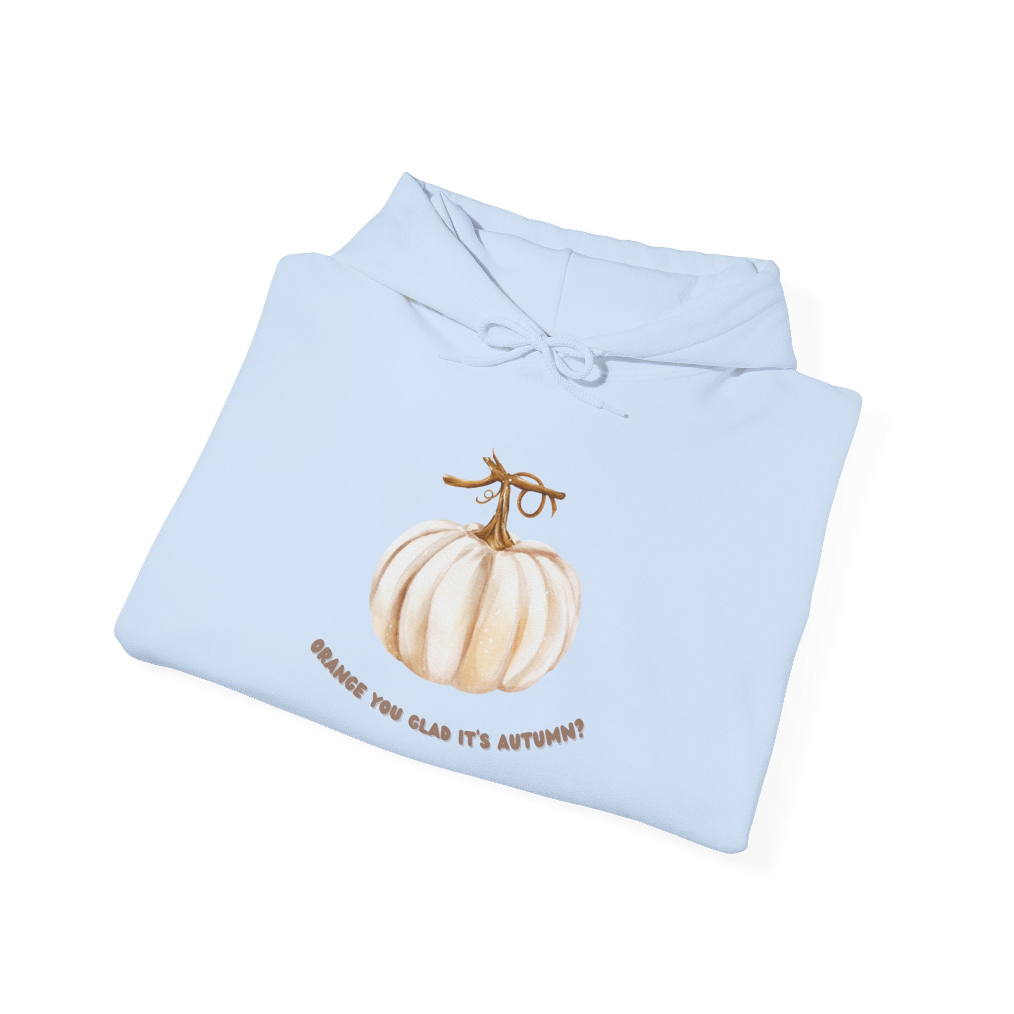 Autumn Pumpkin Hoodie cozy fall sweatshirt for pumpkin lovers