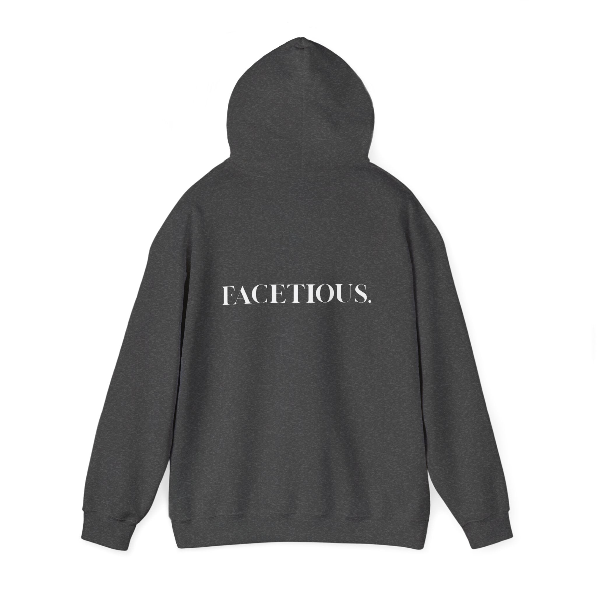 Facetious Hoodie – funny unisex sweatshirt gift for friends