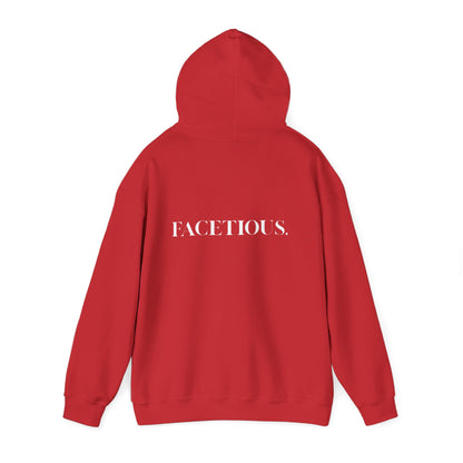 Facetious Hoodie – funny unisex sweatshirt gift for friends
