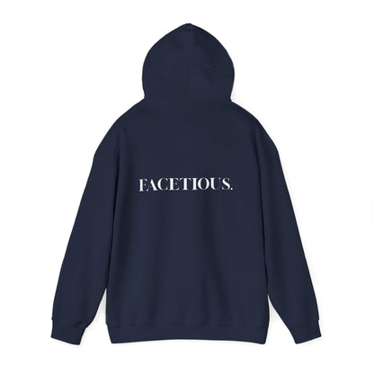 Facetious Hoodie – funny unisex sweatshirt gift for friends