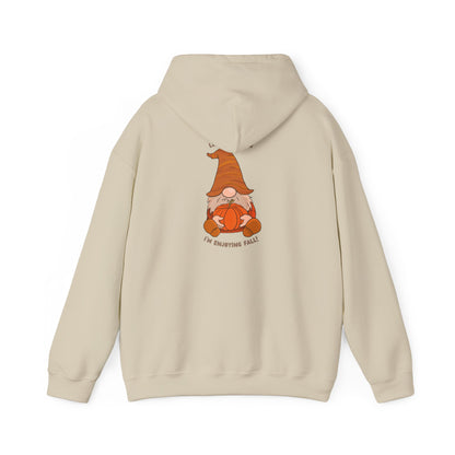 Autumn Gnome Hoodie – Cozy Unisex Sweatshirt with Cute Gnome Design
