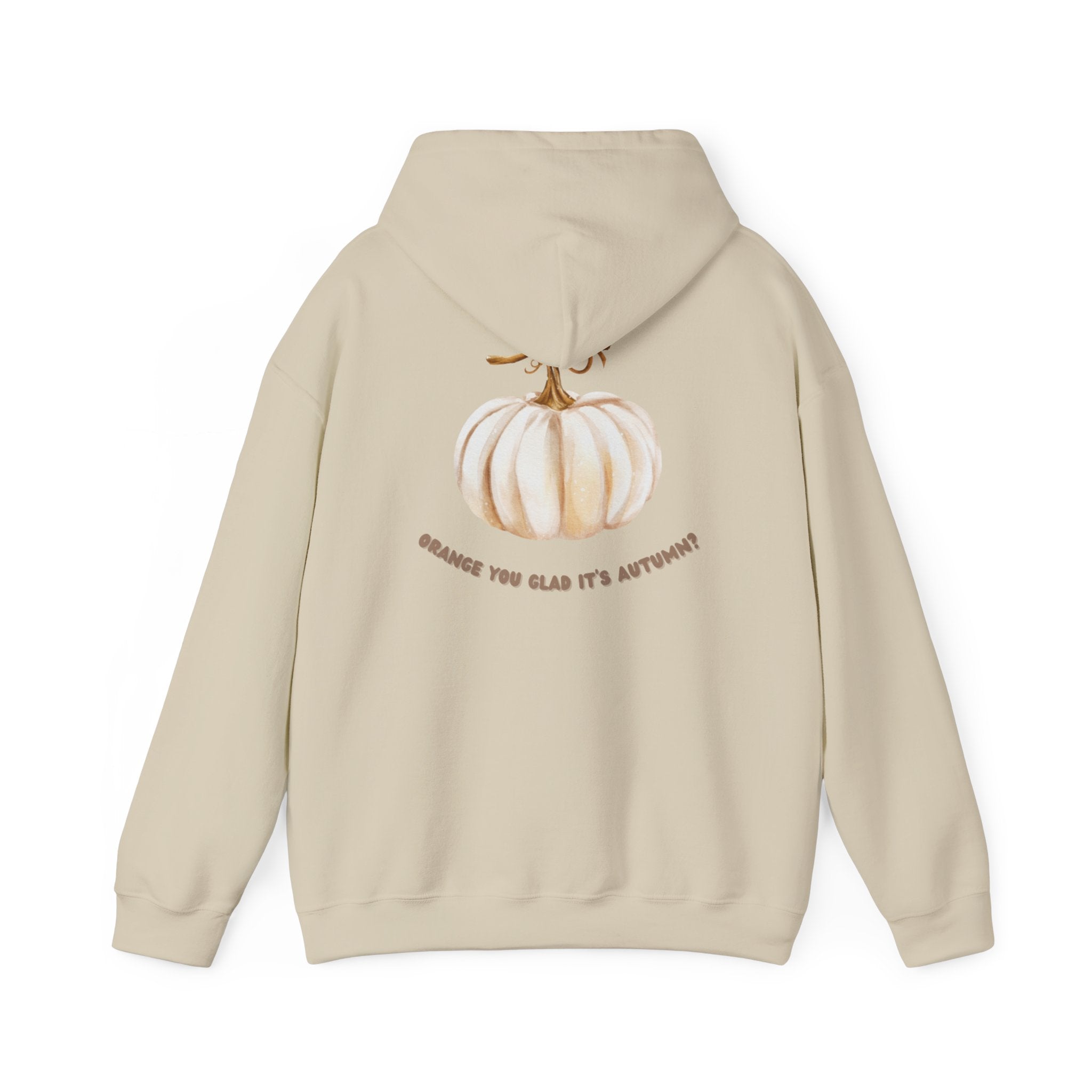 Autumn Pumpkin Hoodie cozy fall sweatshirt for pumpkin lovers