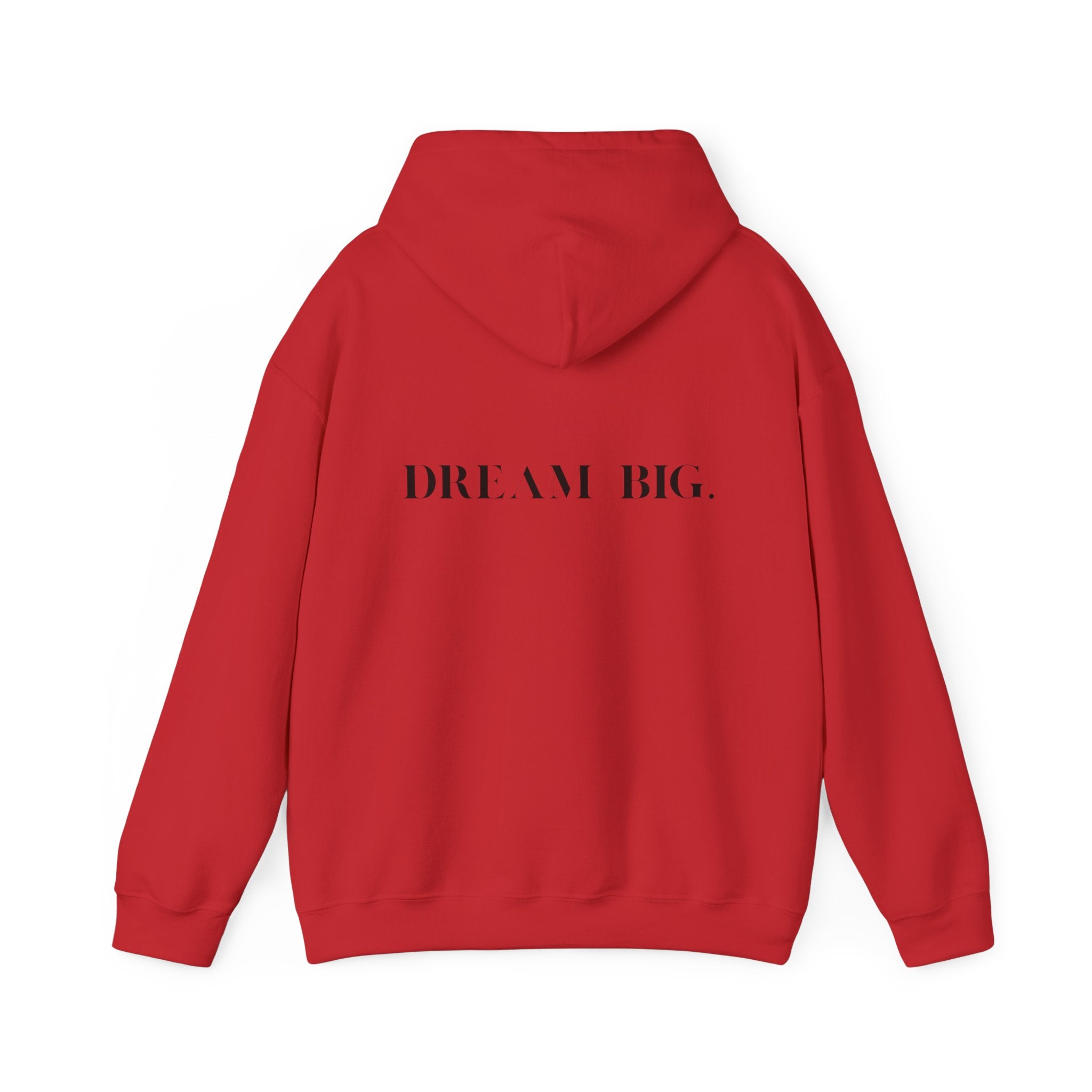 Dream Big Unisex Hoodie inspirational cozy sweatshirt for dreamers