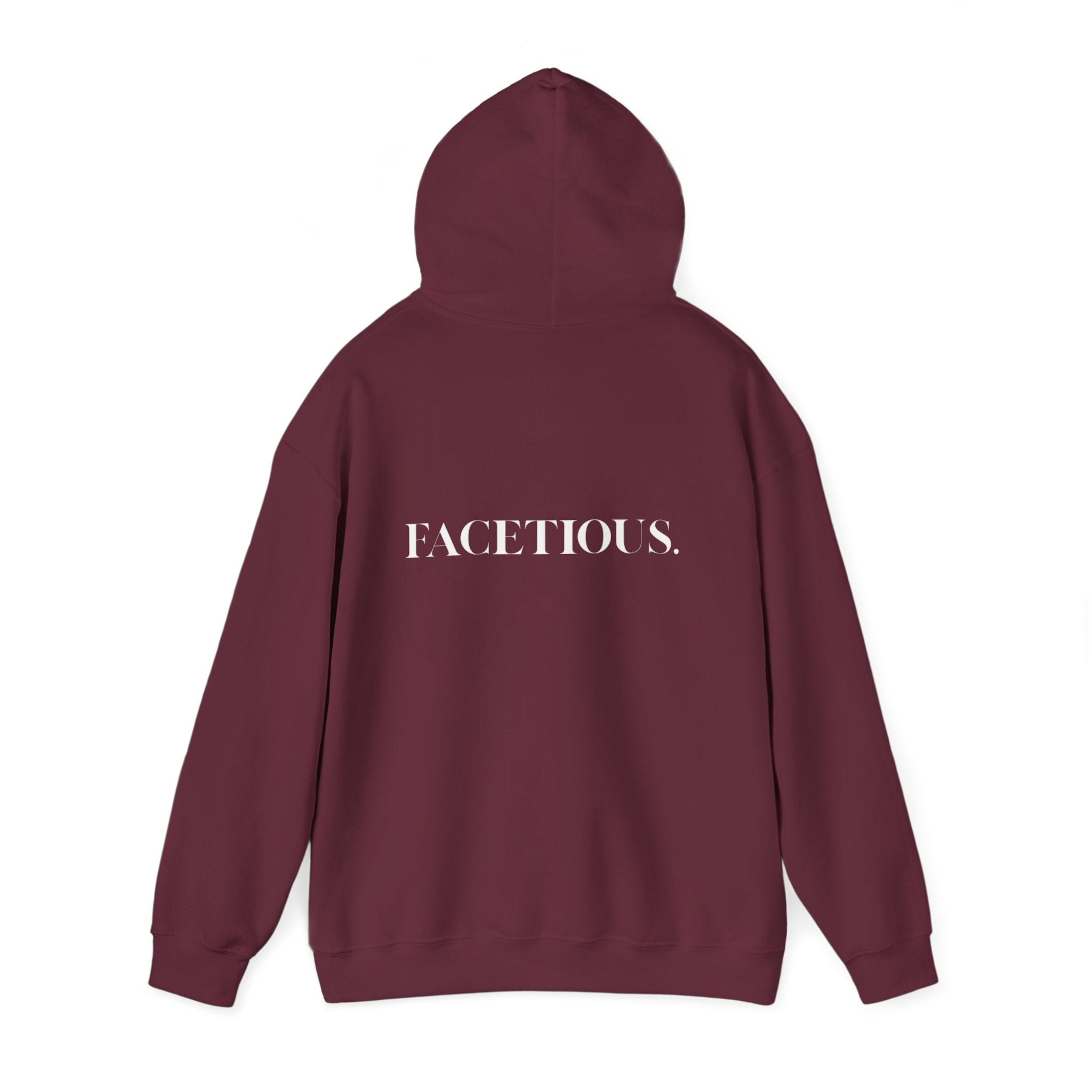 Facetious Hoodie – funny unisex sweatshirt gift for friends