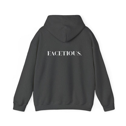 Facetious Hoodie – funny unisex sweatshirt gift for friends